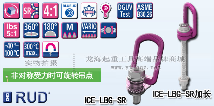 ICE-LBG-SR型路德旋轉(zhuǎn)吊點 ICE-LBG-SR型路德旋轉(zhuǎn)吊點